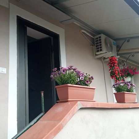 Villa A Casa Di Nonna Anna à Ercolano Extérieur photo